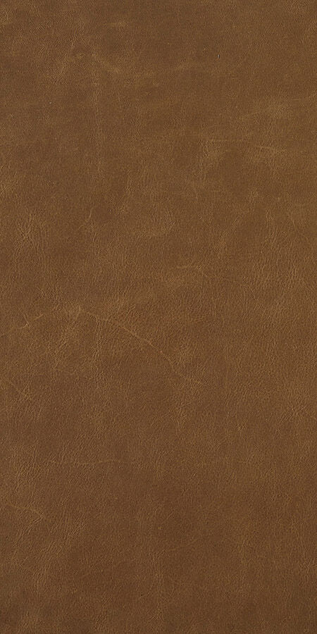 Rich Color and Smooth Texture Leather Swatch