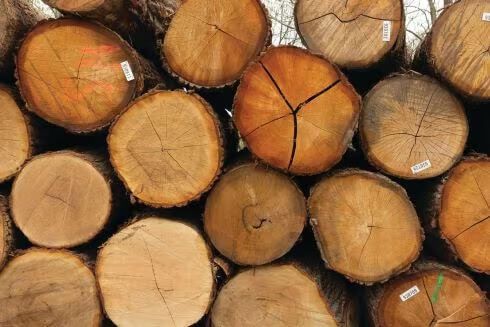 stack of logs stack of logs
