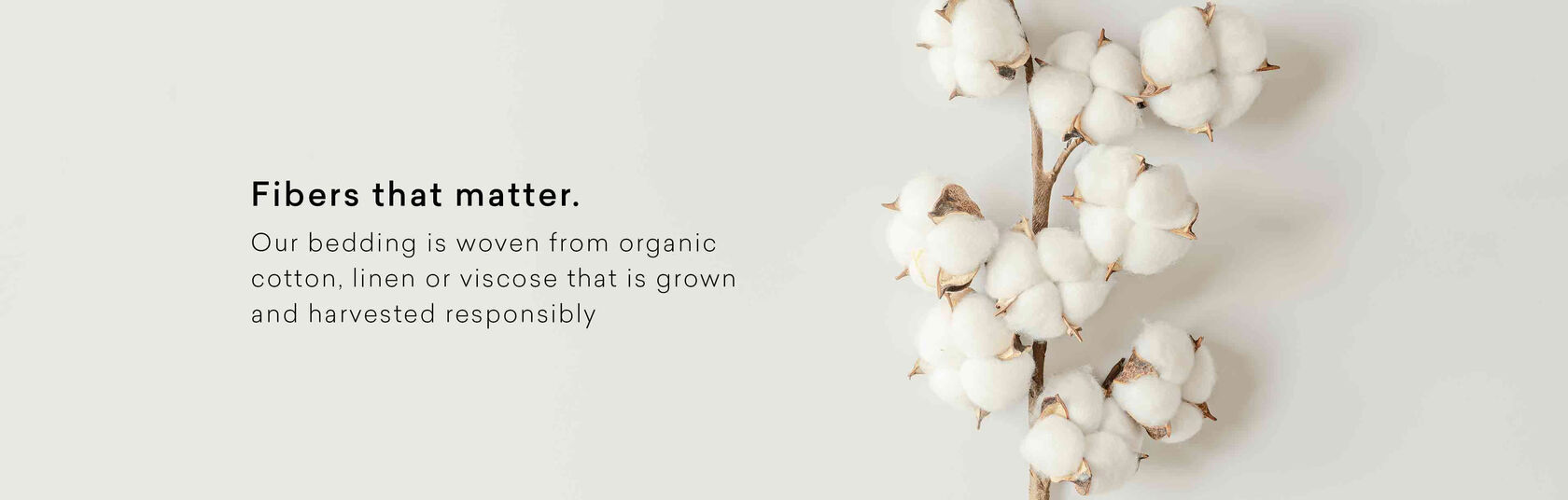 Fibers that Matter - Cotton Plant on beige background