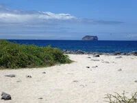 find your interior design style beach find your interior design style beach