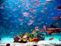 find your interior design style ocean find your interior design style ocean
